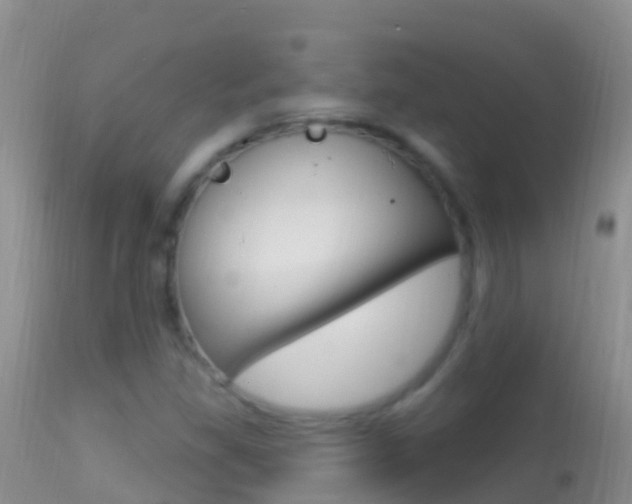X0000114691309200910211045