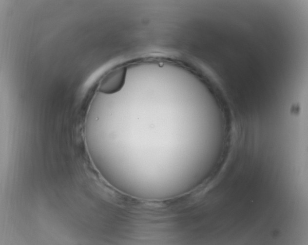 X0000114691310200910211045