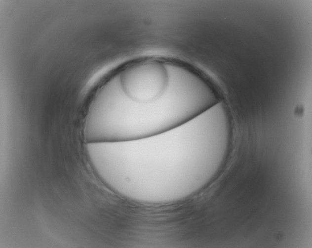 X0000114691311200910211045