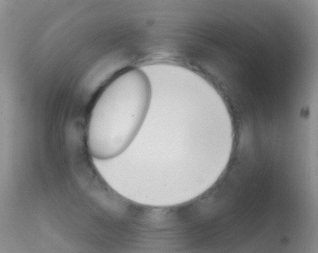 X0000114691314200910211045