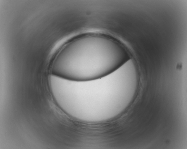X0000114691319200910211045