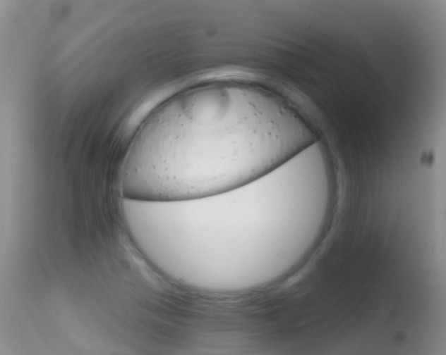 X0000114691321200910211045