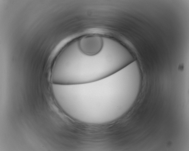 X0000114691323200910211045