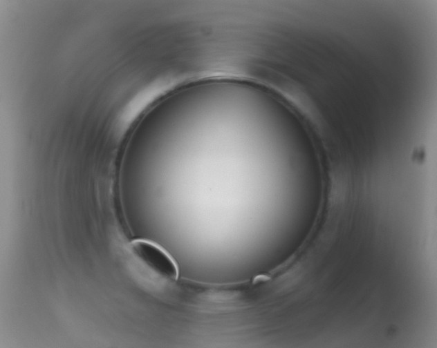 X0000114691325200910211045