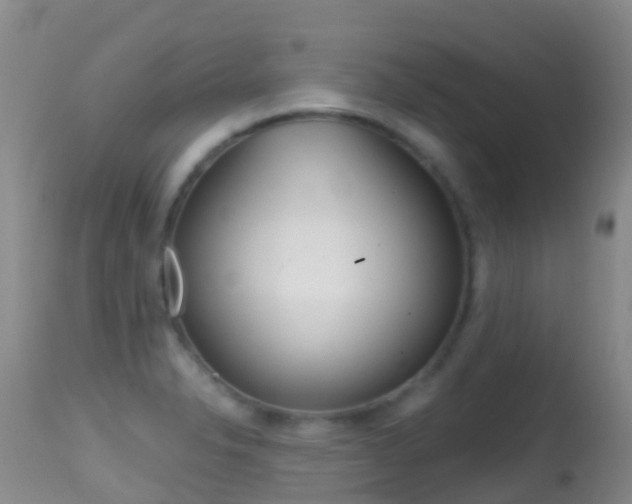 X0000114691326200910211045