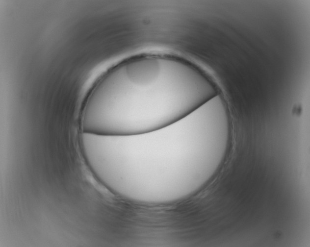X0000114691327200910211045