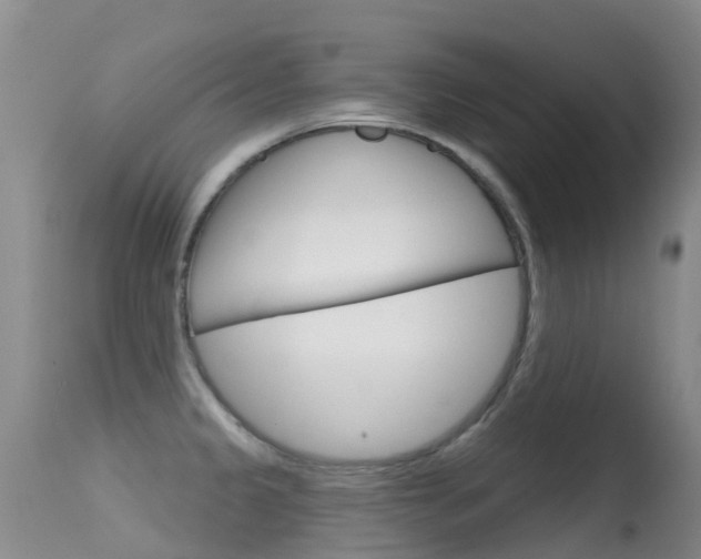 X0000114691333200910211045