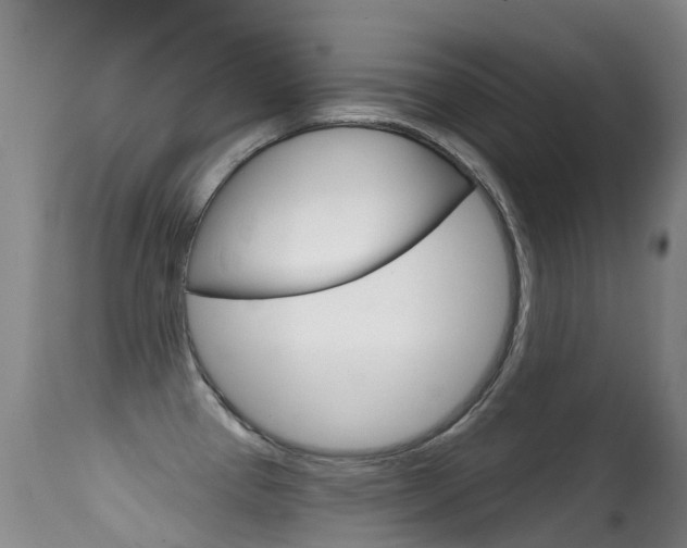 X0000114691337200910211045