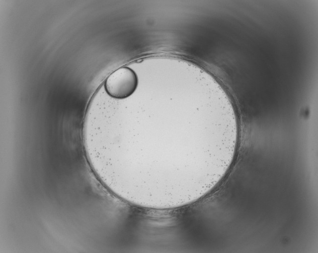 X0000114691338200910211046