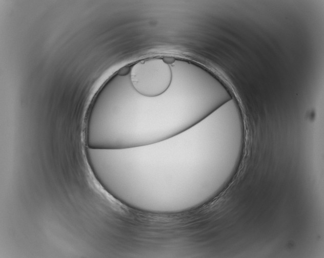 X0000114691339200910211046