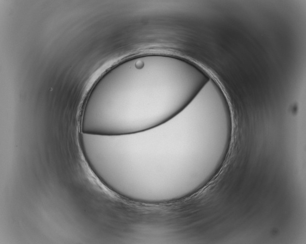 X0000114691341200910211046