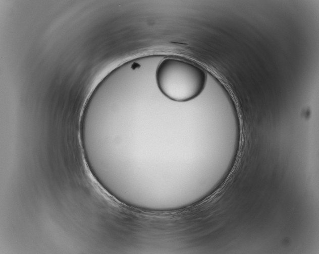 X0000114691342200910211046