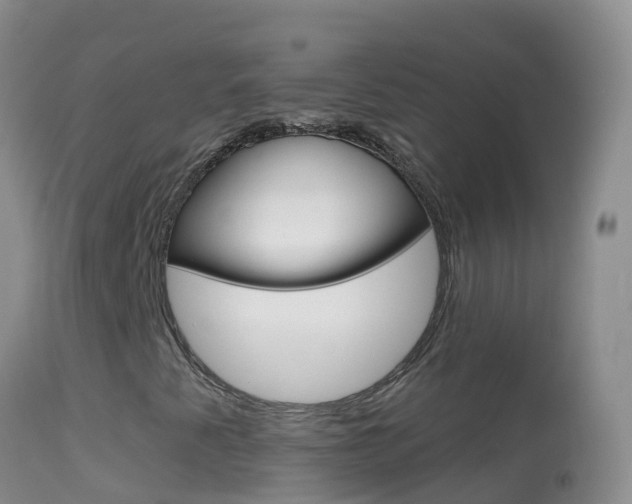 X0000114691345200910211045