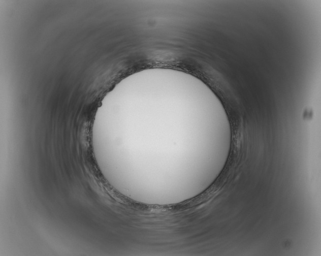 X0000114691346200910211045