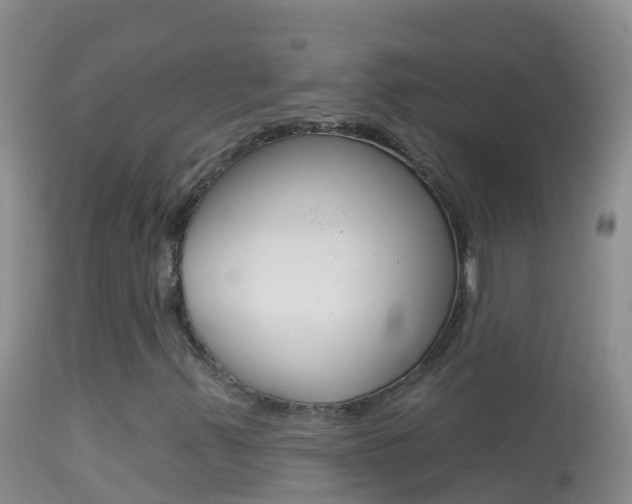 X0000114691347200910211045