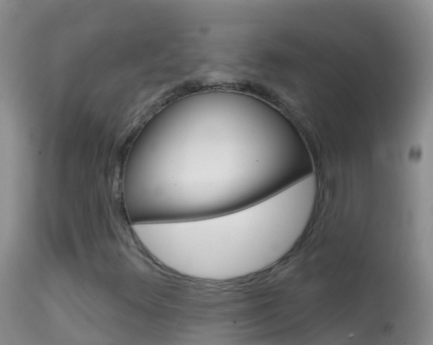 X0000114691348200910211045
