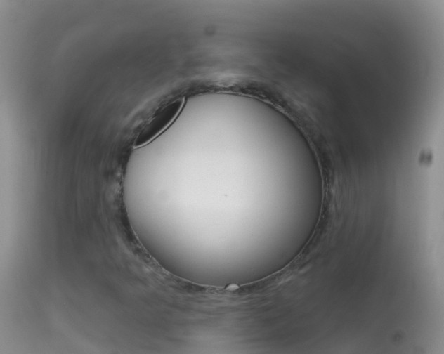 X0000114691349200910211045