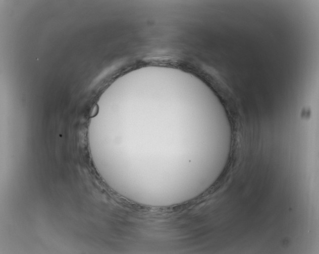 X0000114691350200910211045