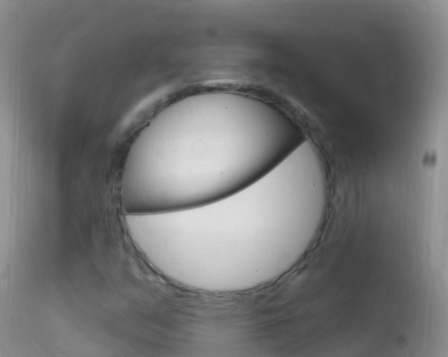 X0000114691351200910211045