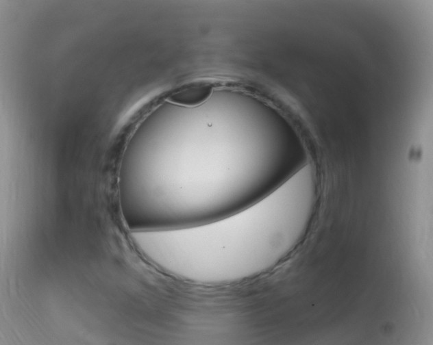 X0000114691352200910211045