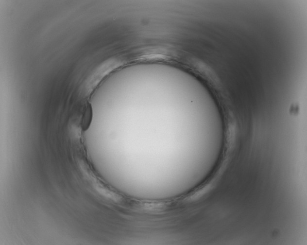 X0000114691353200910211045