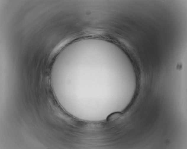X0000114691354200910211045