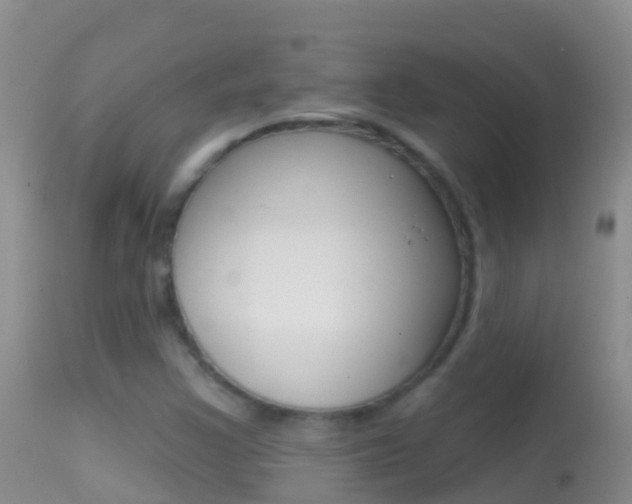X0000114691355200910211045