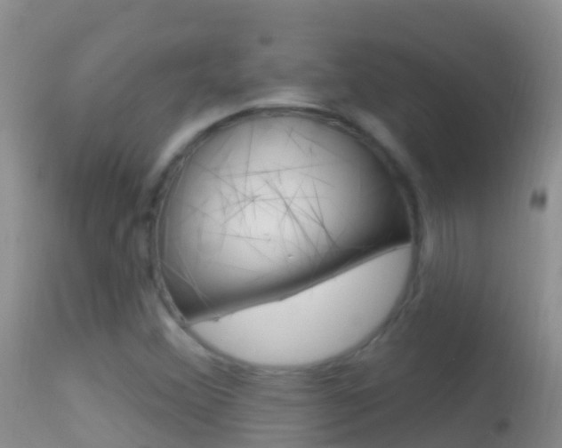 X0000114691356200910211045
