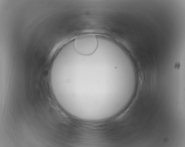 X0000114691357200910211045
