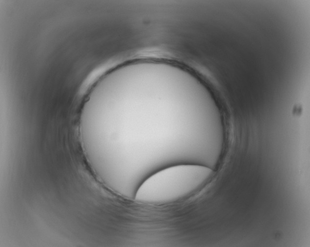 X0000114691358200910211045