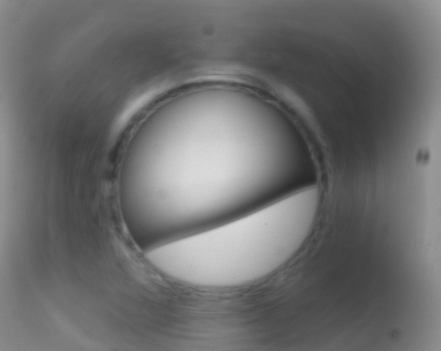 X0000114691360200910211045