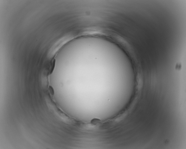 X0000114691361200910211045