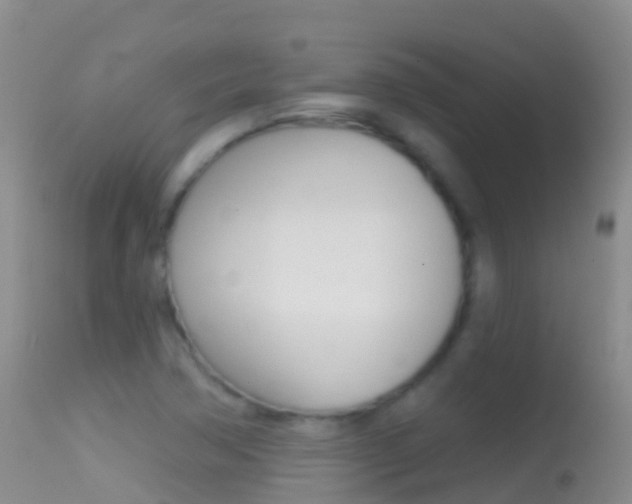 X0000114691362200910211045