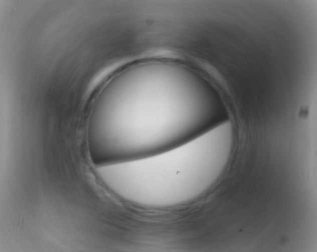 X0000114691364200910211045