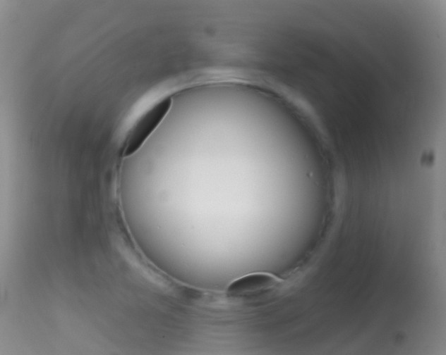 X0000114691365200910211045