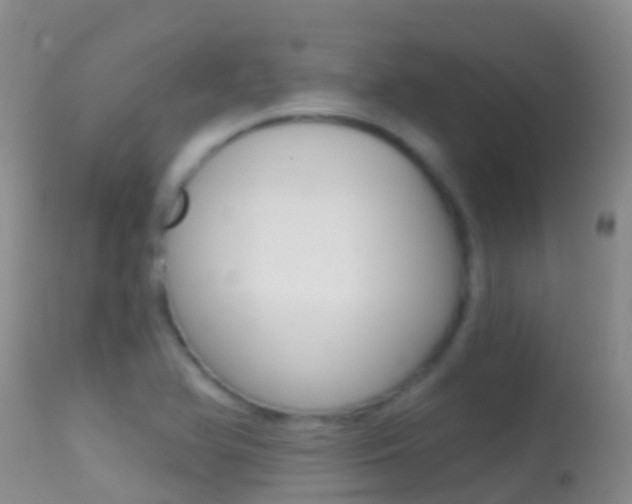 X0000114691366200910211045