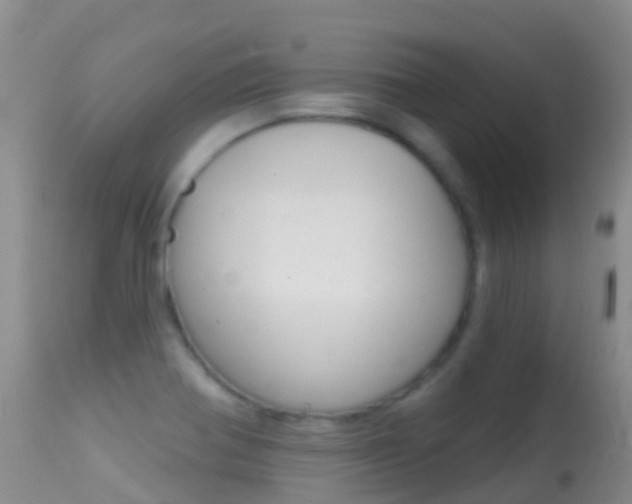 X0000114691370200910211045