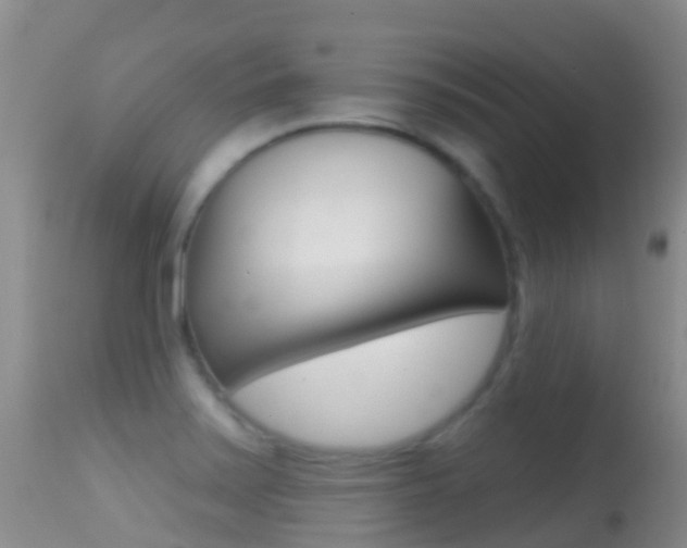 X0000114691371200910211045