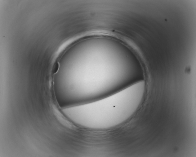X0000114691372200910211045