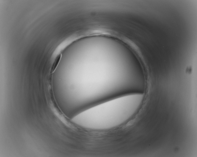 X0000114691373200910211045