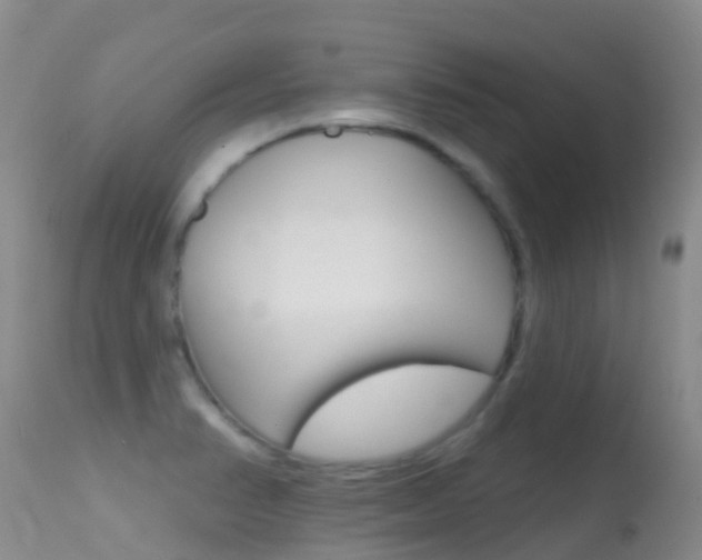 X0000114691374200910211045