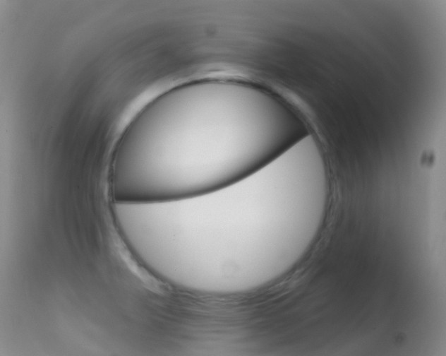 X0000114691375200910211045