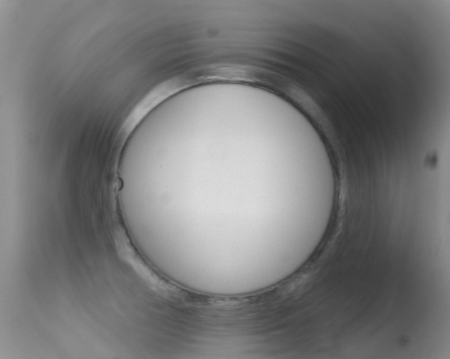 X0000114691378200910211044