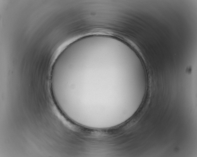 X0000114691379200910211044