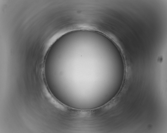 X0000114691381200910211044