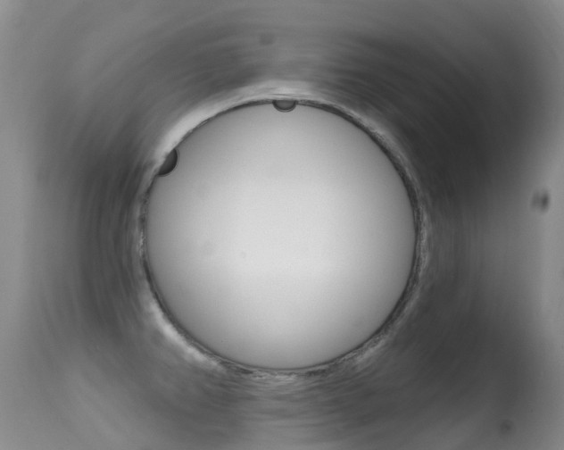X0000114691382200910211044