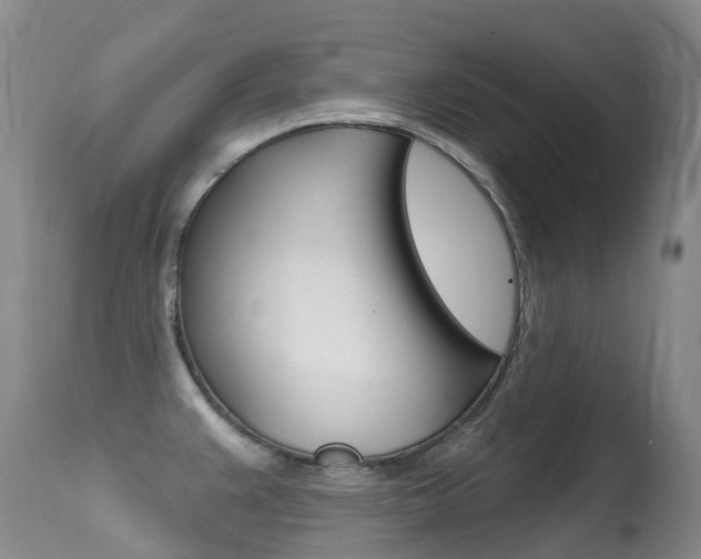 X0000114691383200910211044