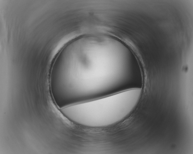 X0000114691384200910211044