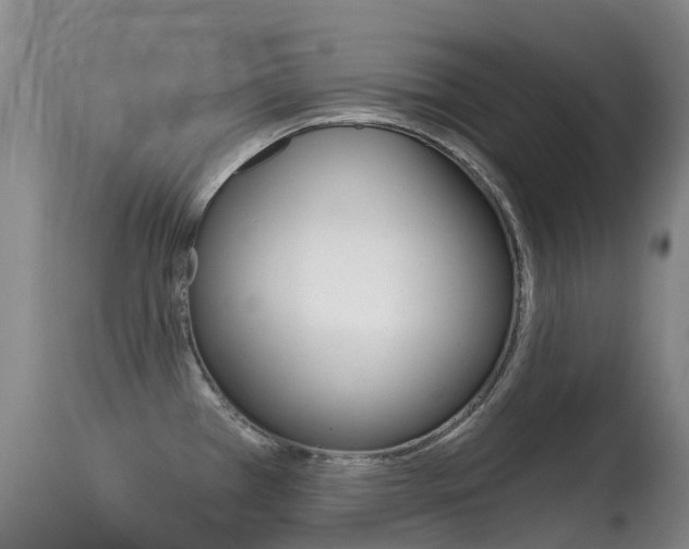 X0000114691385200910211044