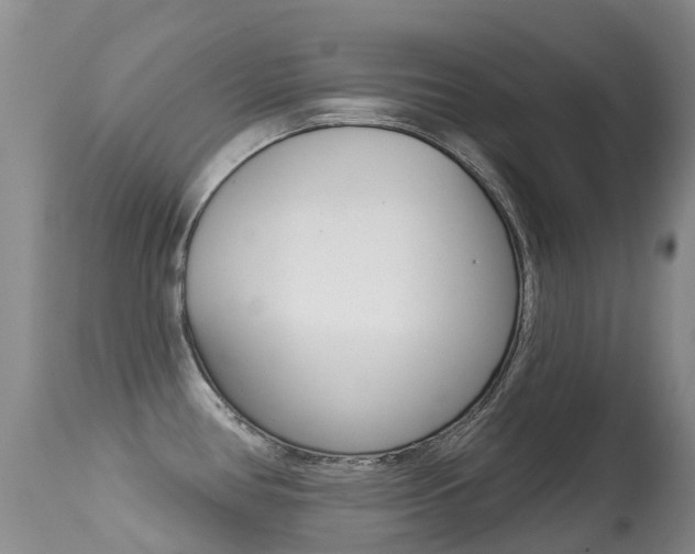 X0000114691386200910211044